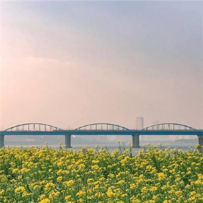 5月31日至6月3日，S32申嘉湖高速G1503立交部分匝道全封闭